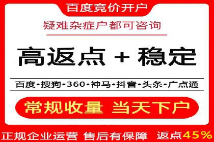 百度联盟推广网络覆盖的案例研究